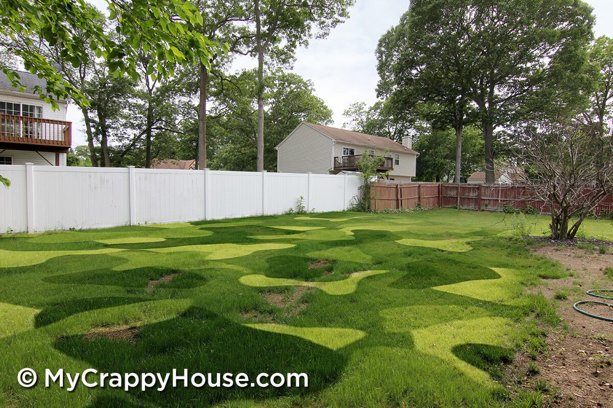 Camouflage lawn