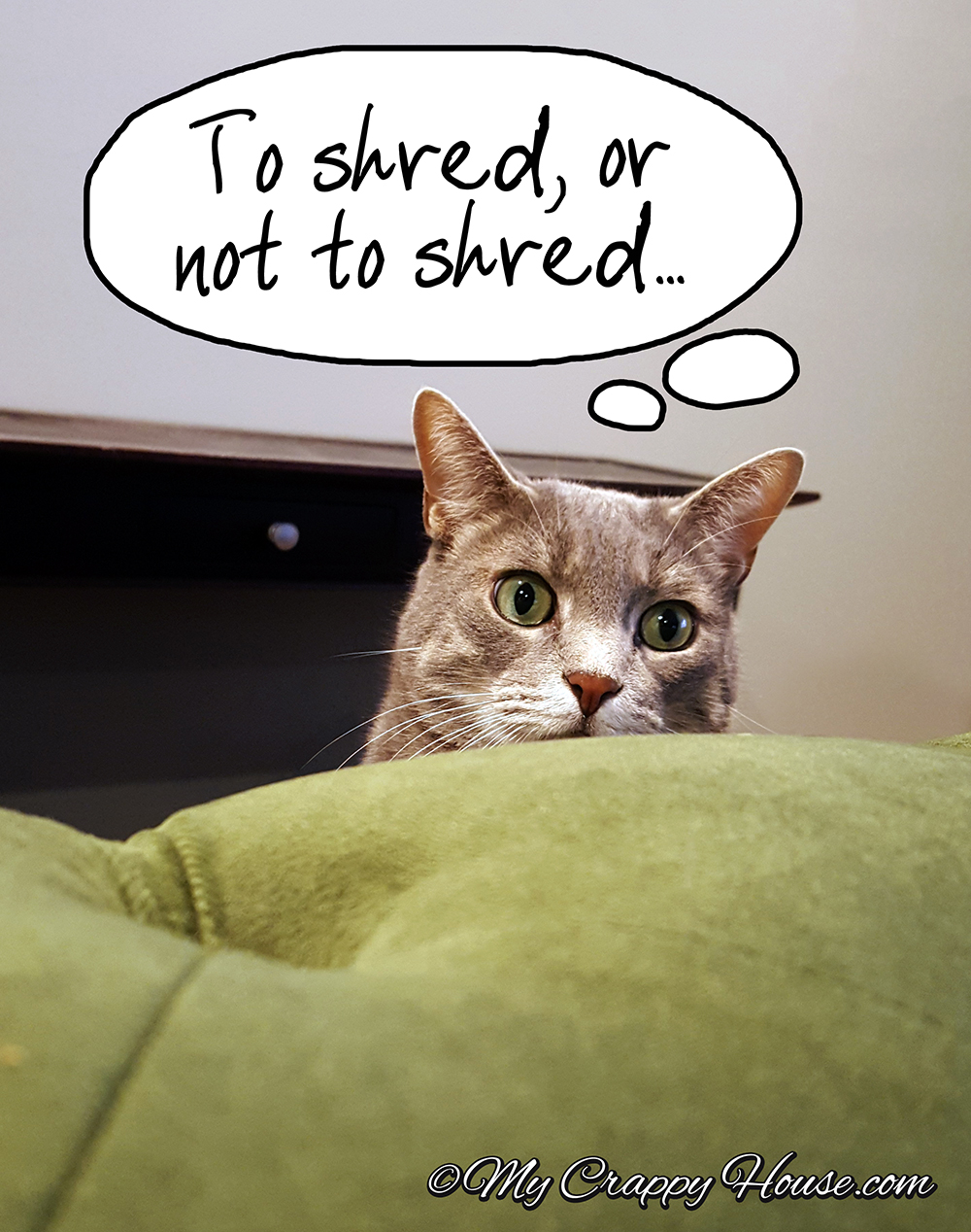 Will my cat shred my green velvet couch?