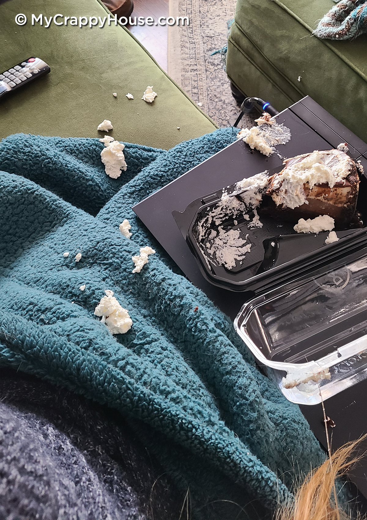 Cheesecake accident on the couch