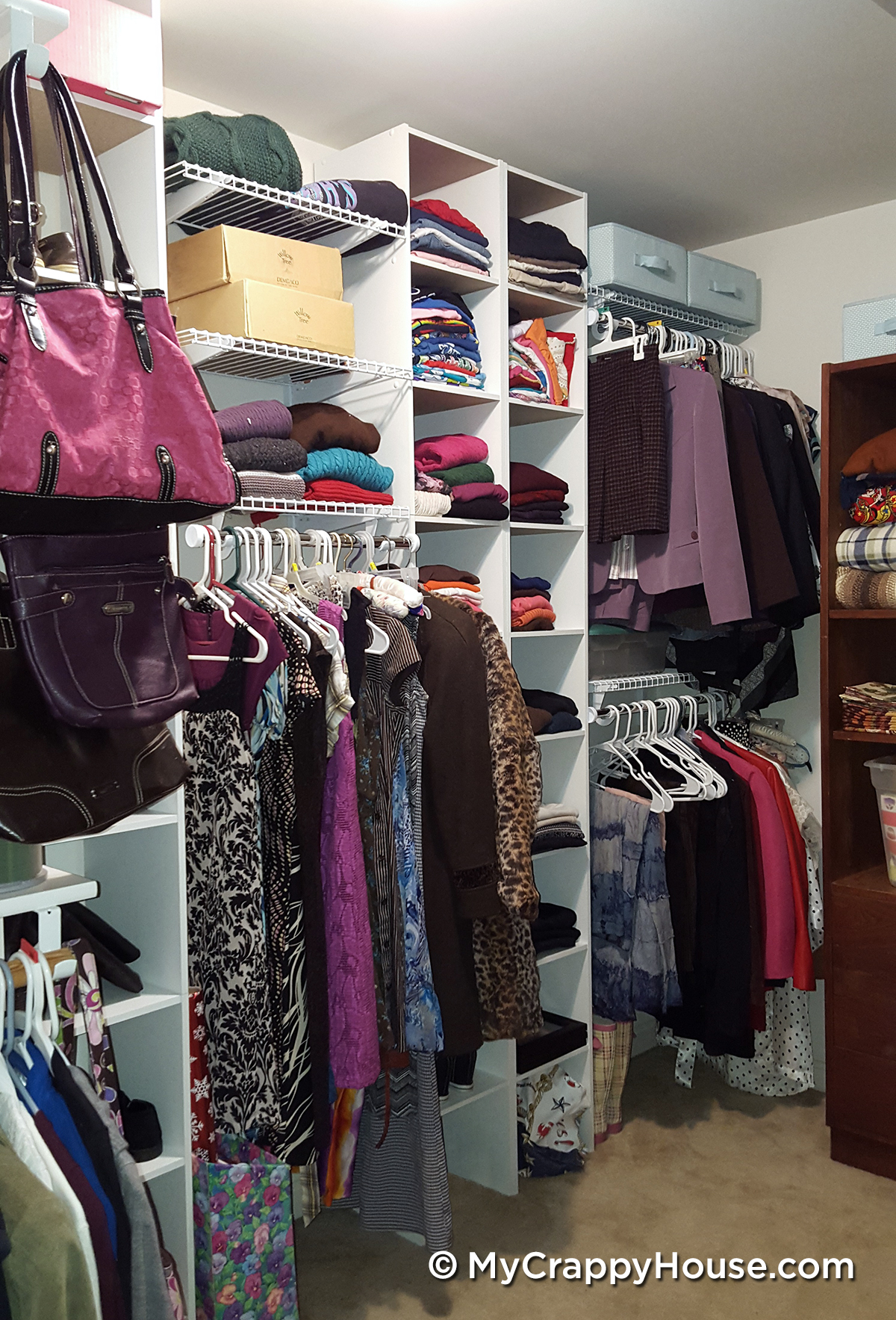 Walk in closet with shelves and wire system