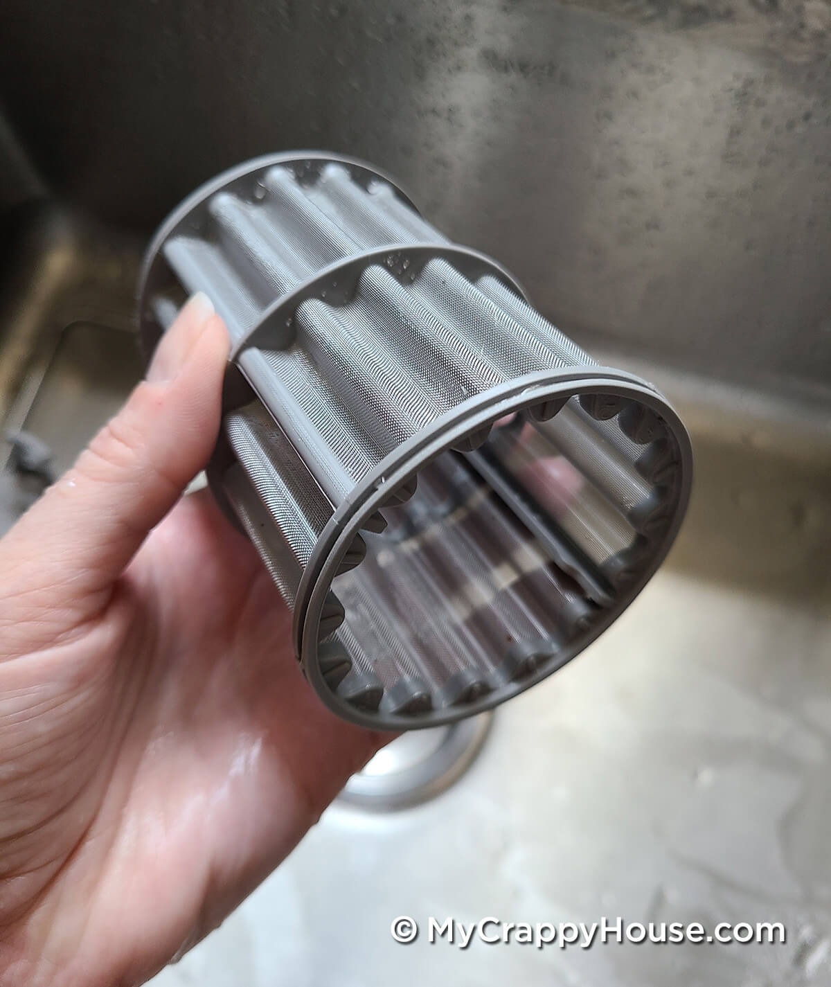 Cleaned dishwasher filter