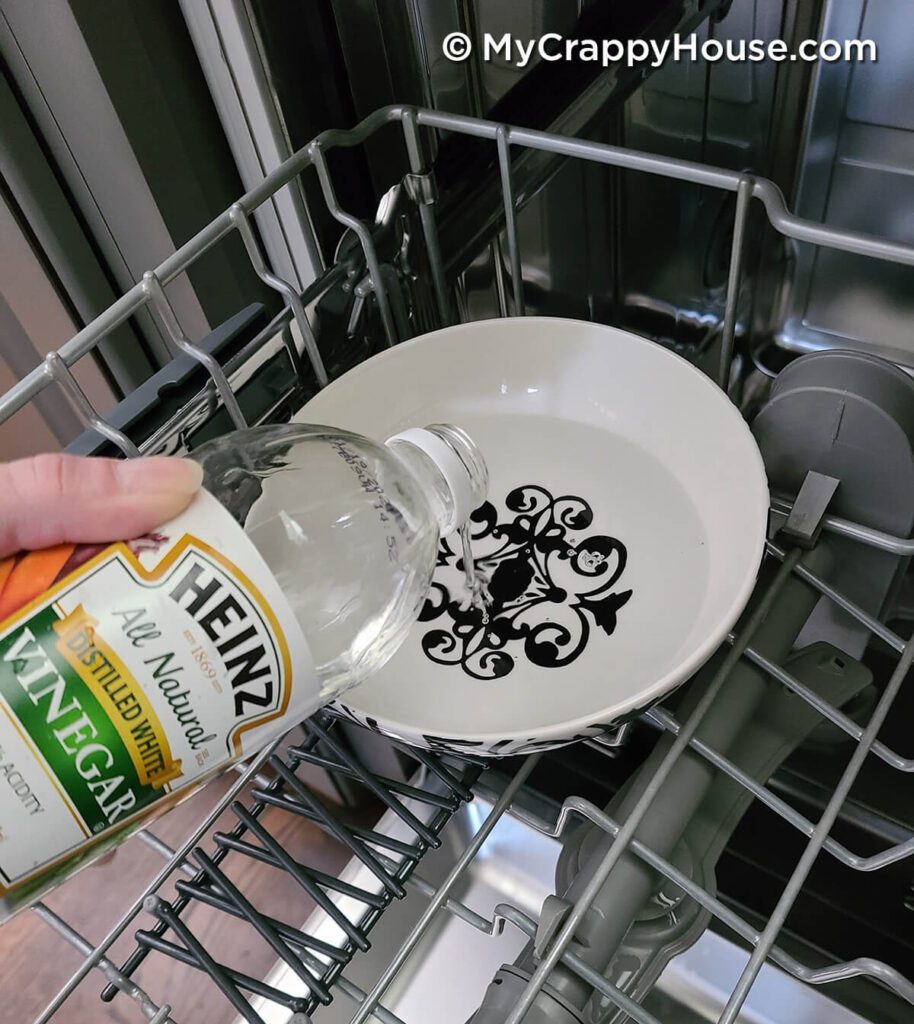 The Case of the Smelly Dishwasher My Crappy House