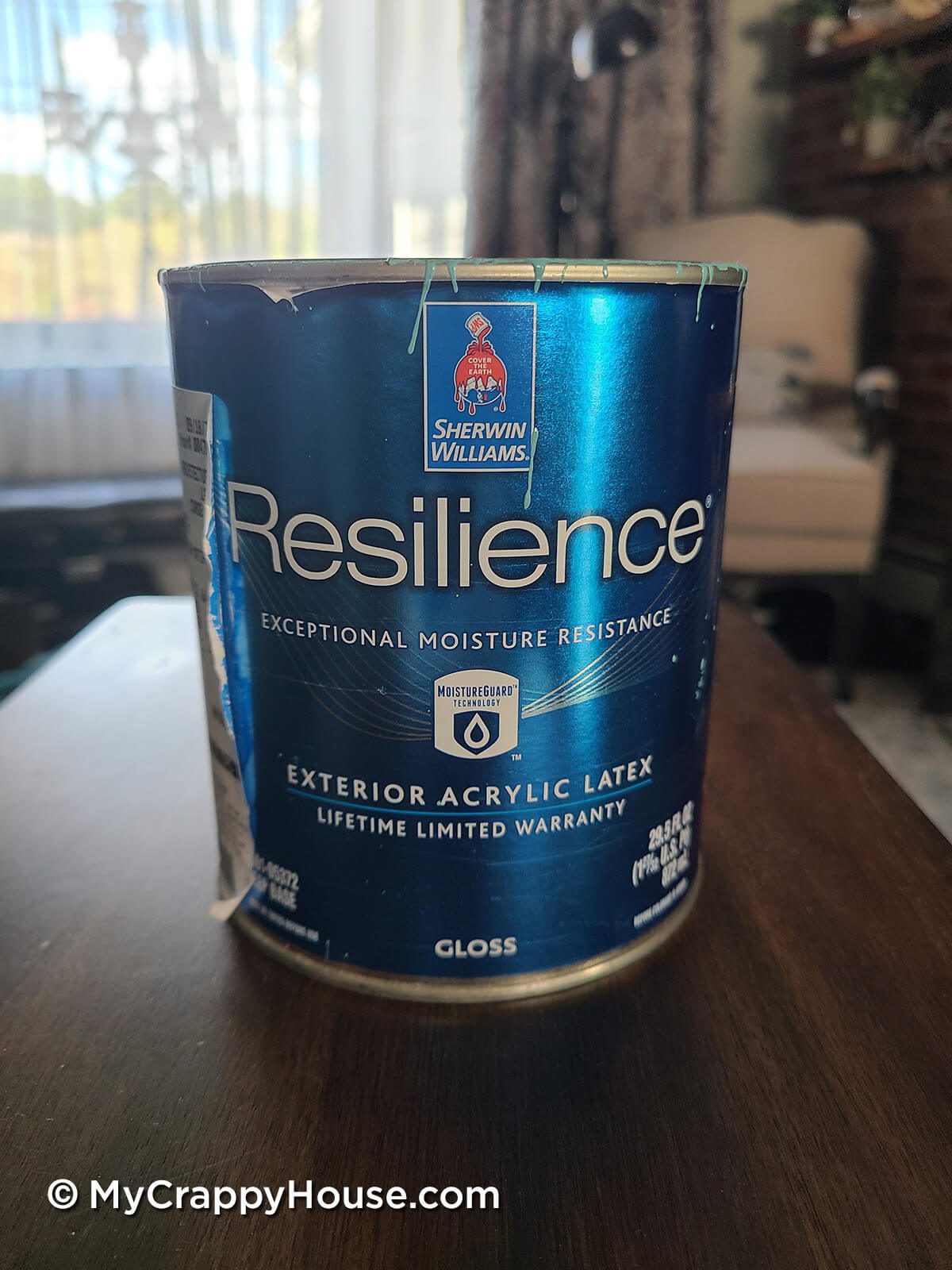 Sherwin Williams Resilience Paint Can with custom Aqua color mix