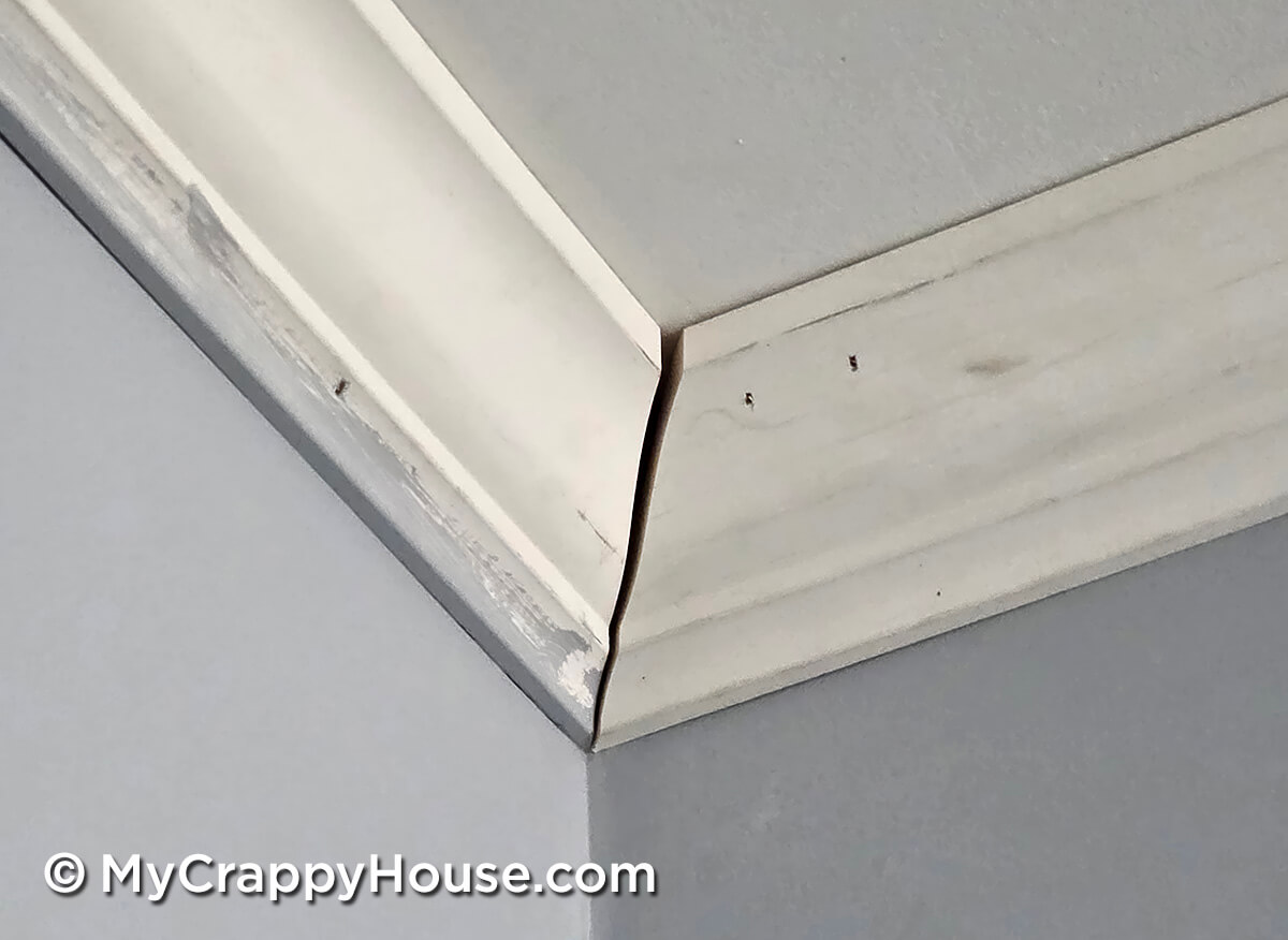 Close-up of poorly aligned crown molding corner with visible seam gap before patching during DIY installation