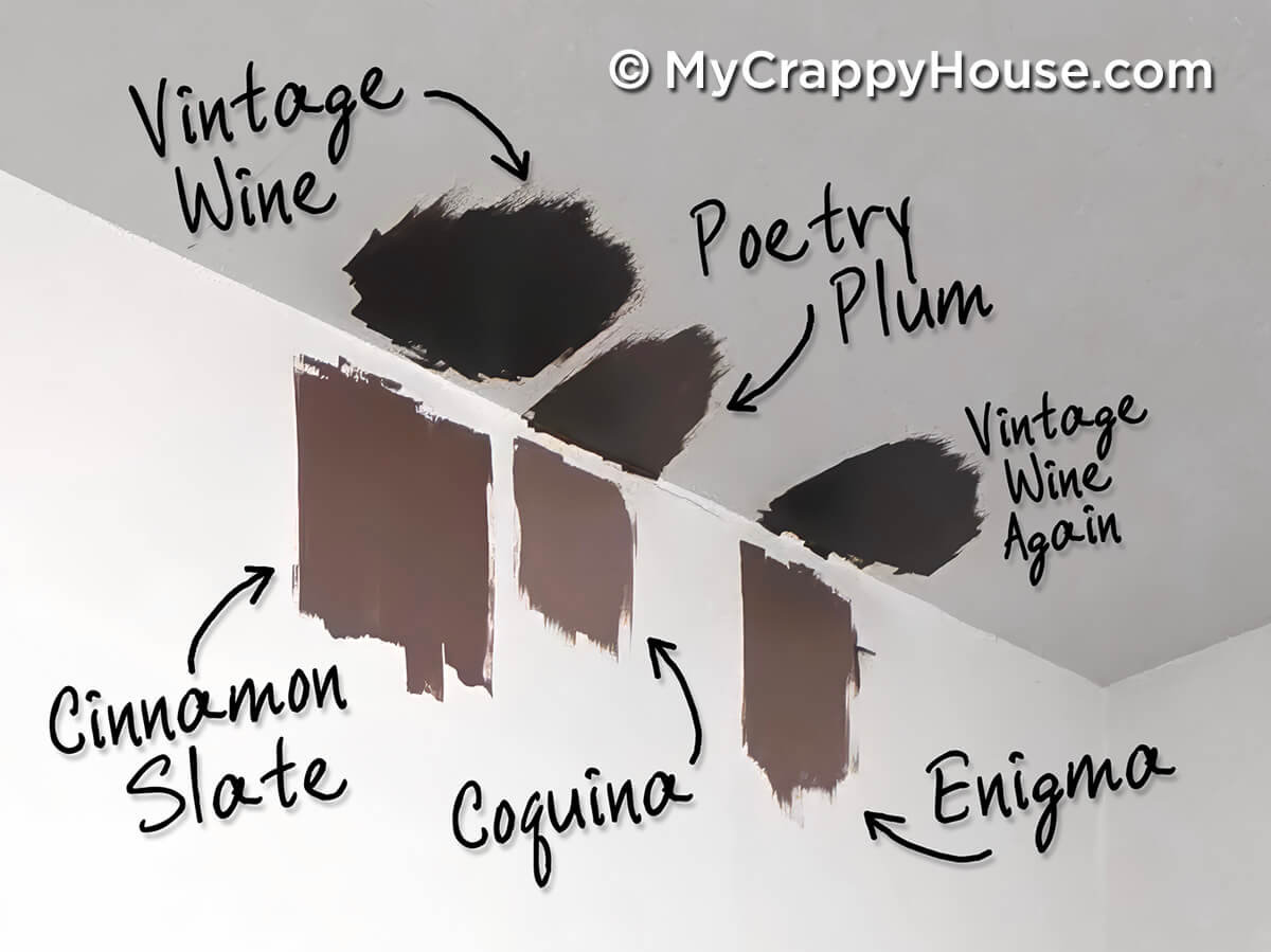 Wall with multiple dark paint swatches labeled with names like Vintage Wine, Poetry Plum, and Cinnamon Slate for color comparison.